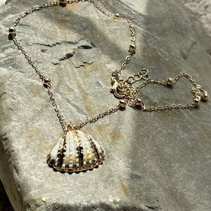 Natural Shell Pendant Necklace
